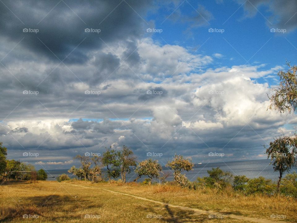 landscape пейзаж