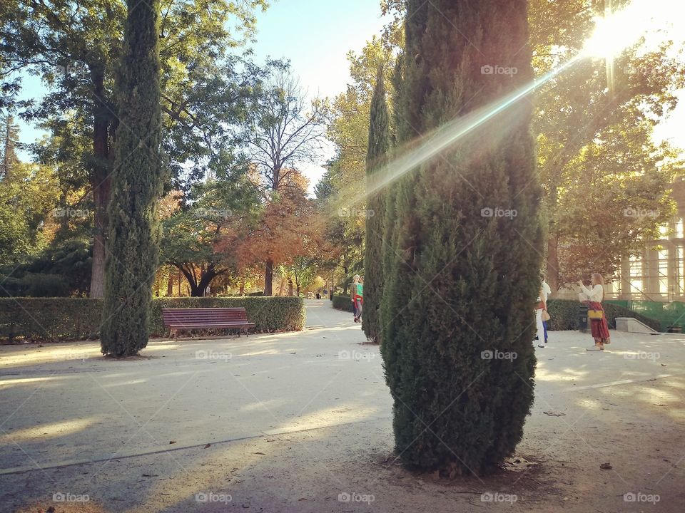 Parque El Retiro, Madri / El Retiro Park, Madrid.