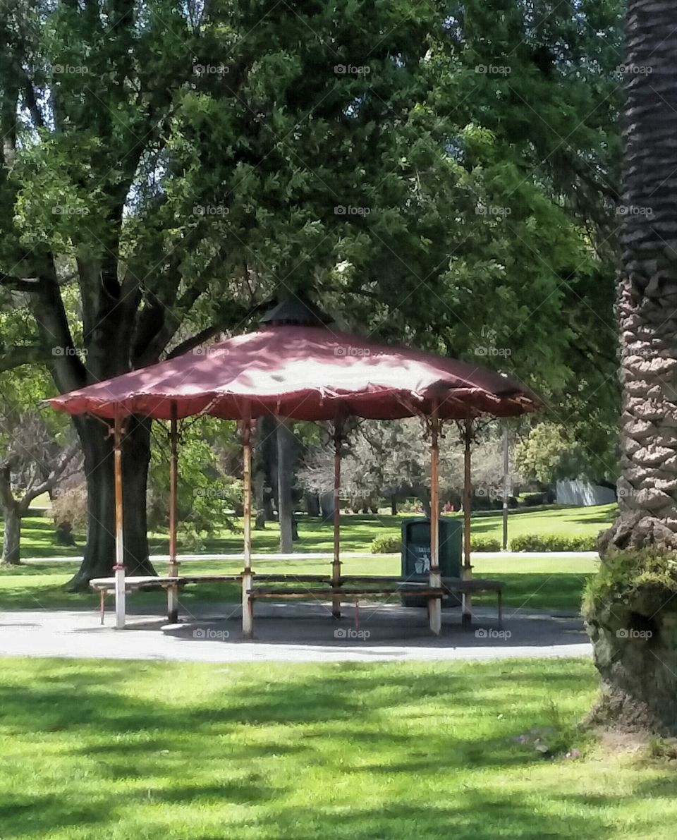 Gazebo Surrounded by Trees