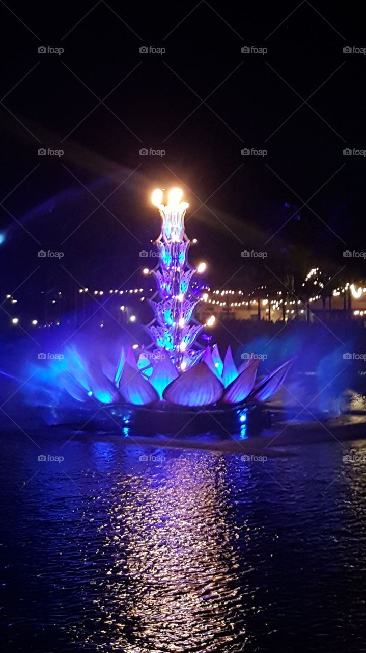 A colorful flower blooms and spreads light throughout the waters of Discovery River during Rivers of Light at Animal Kingdom at the Walt Disney World Resort in Orlando, Florida.