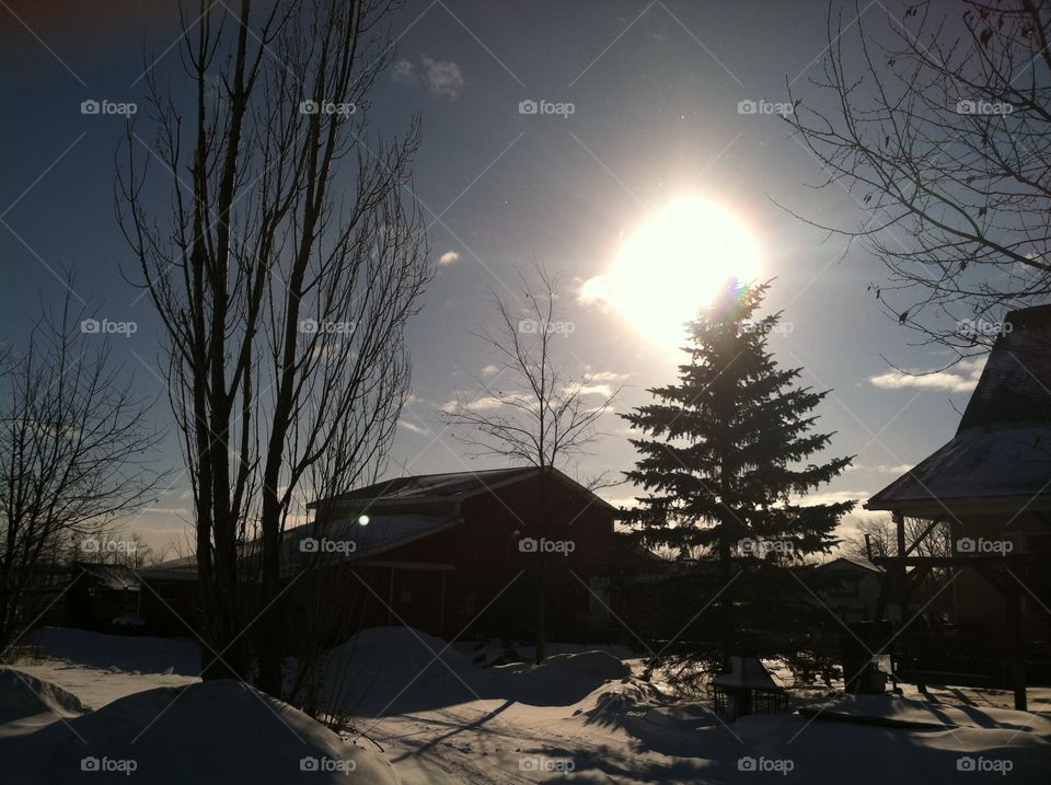 Farm on a winter morning