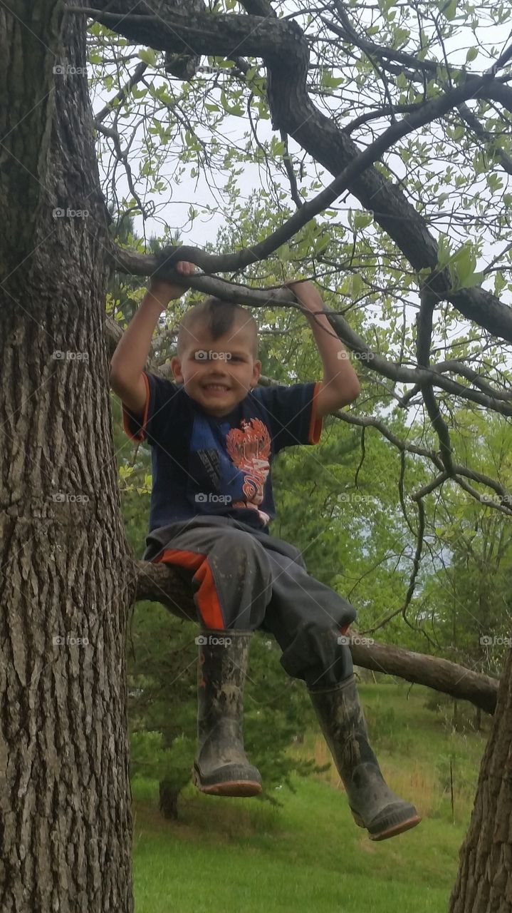 Blake up in the tree