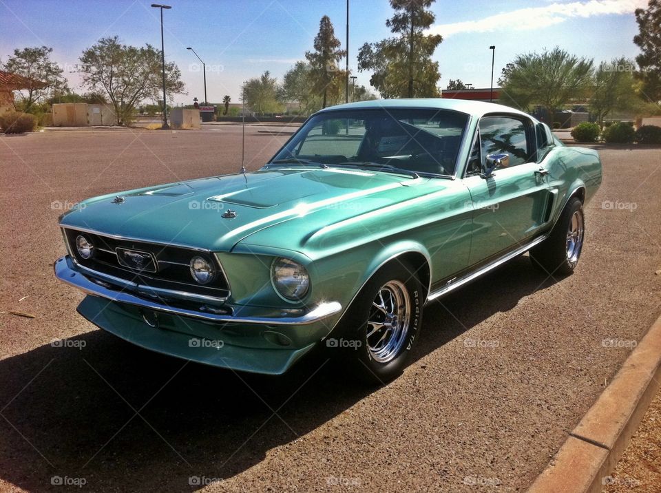 Classic Mustang fastback in Phoenix Arizona
