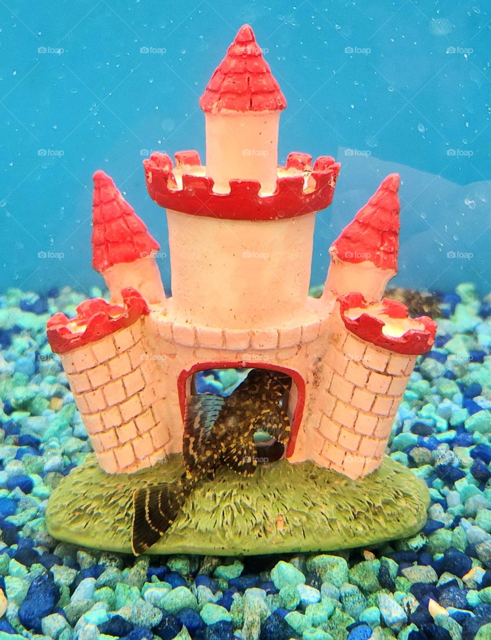 This fish is living a glam lifestyle in a pink underwater castle home fit for a mermaid barbie or a princess