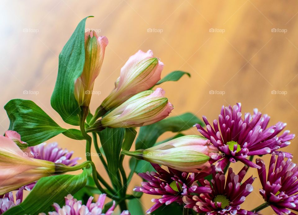 Bouquet with wood floor backdrop
