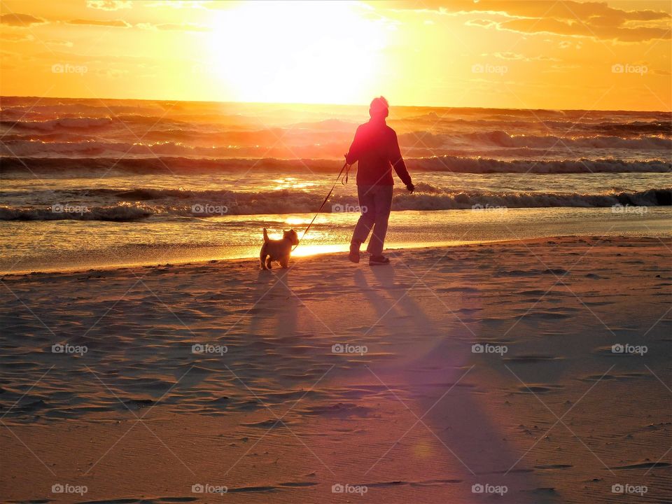 walking our dogs alone the beach on a warm summer 