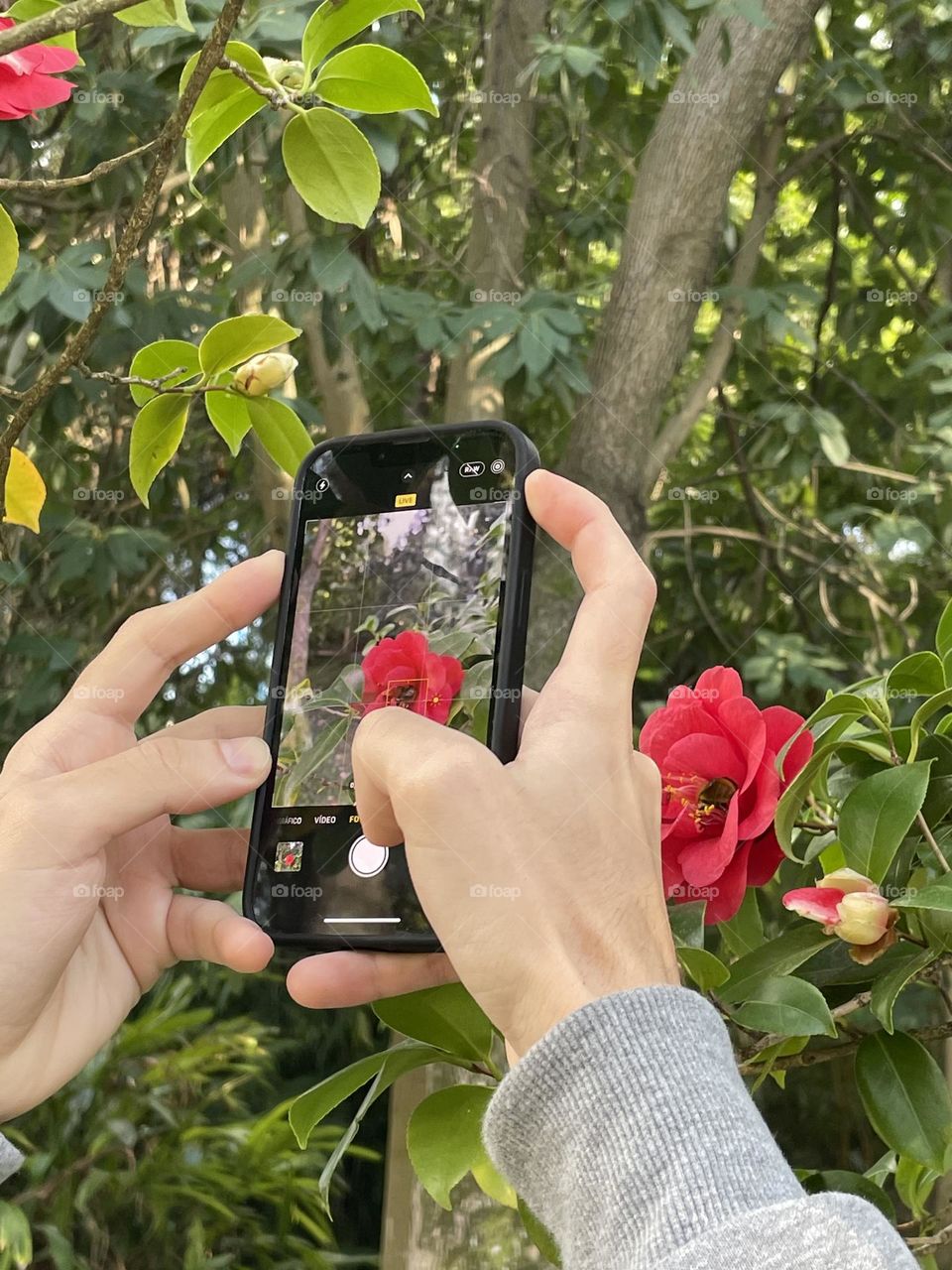 Shooting a flower