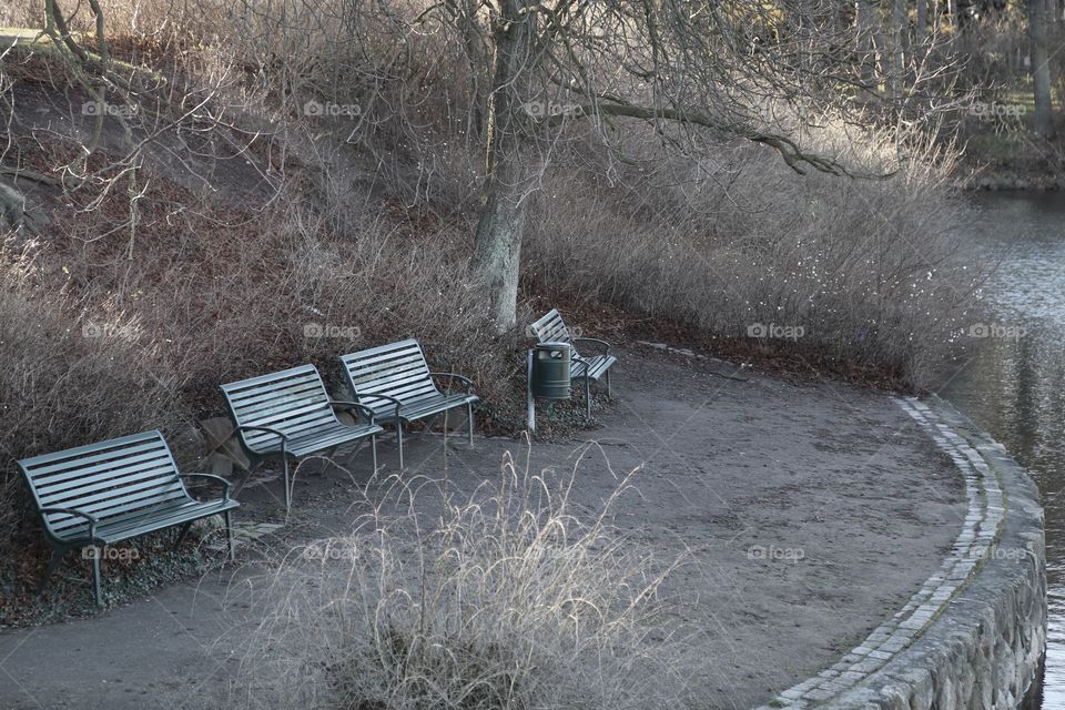 Park benches by the canal