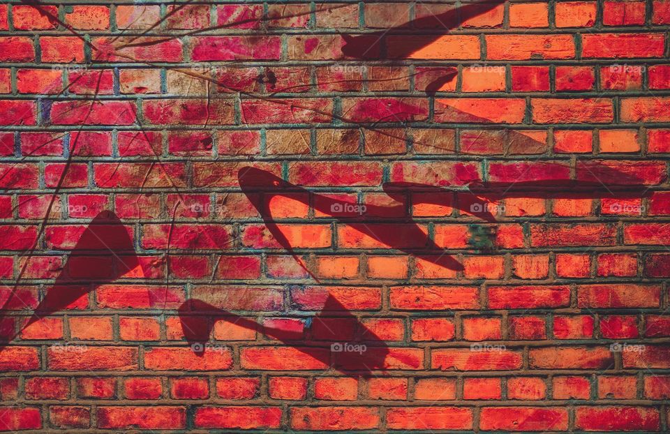 Abstract brick wall