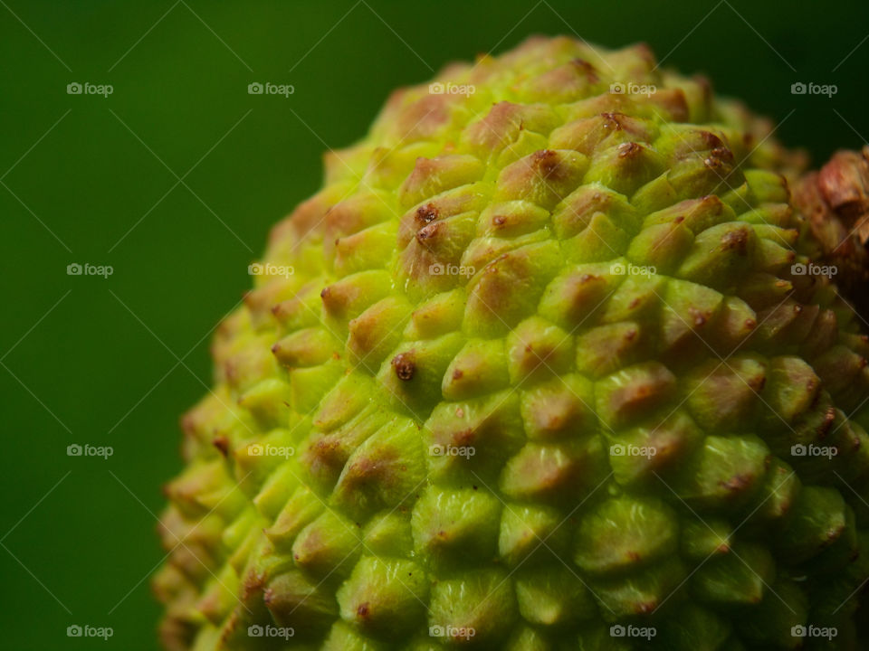 close up photo of litchi fruit