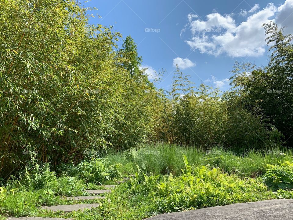 Jardin des géants Lille