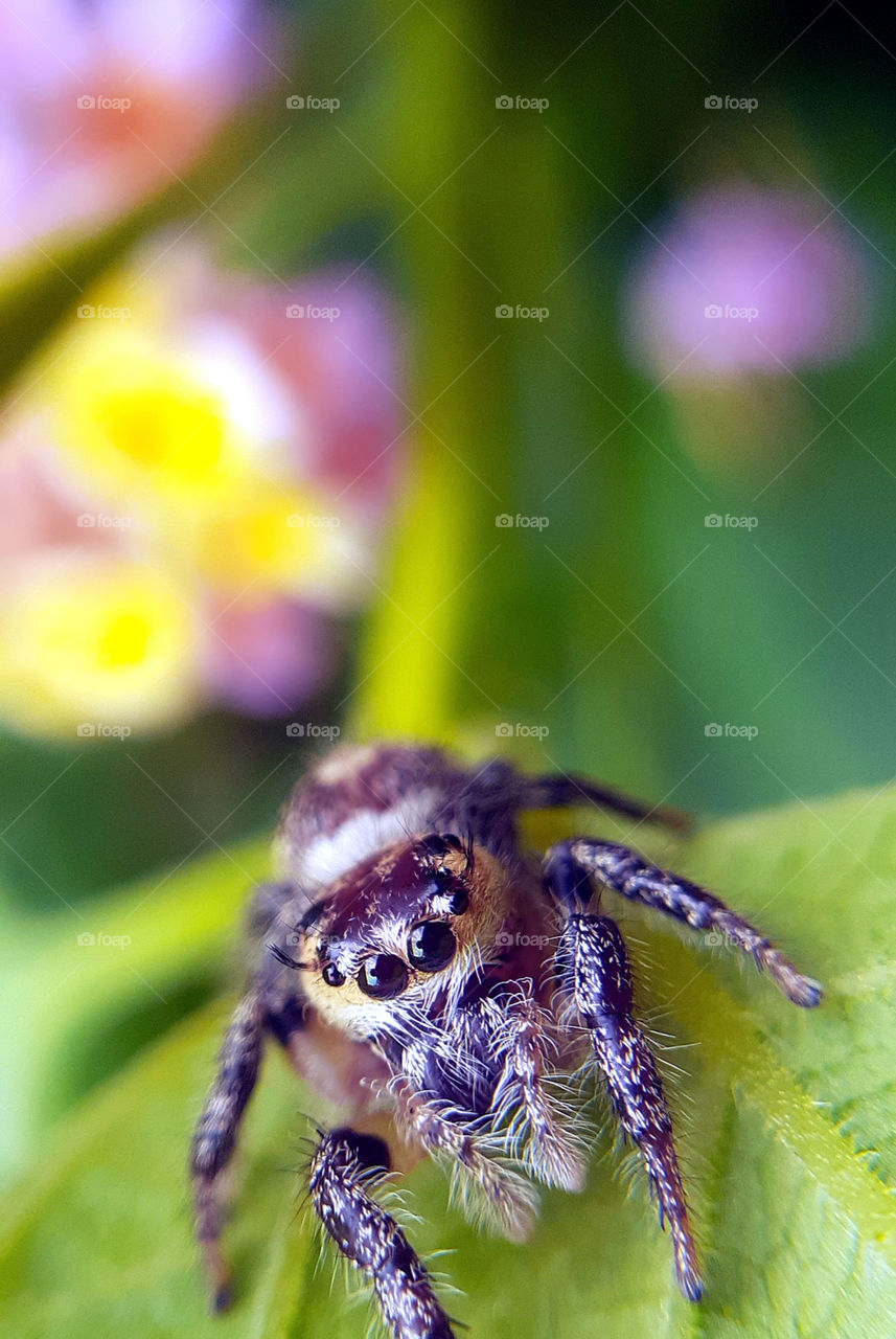 Wildlife photography Photos