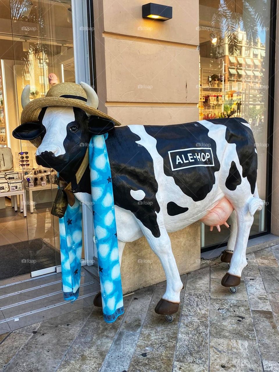 A cow as a model in the street of Valencia