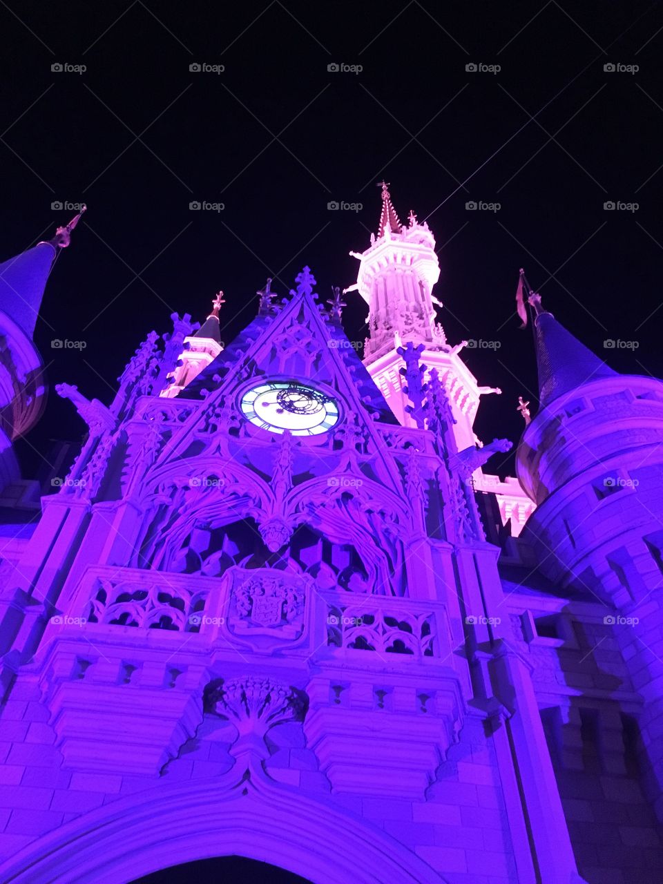 Disney's Cinderella's Castle