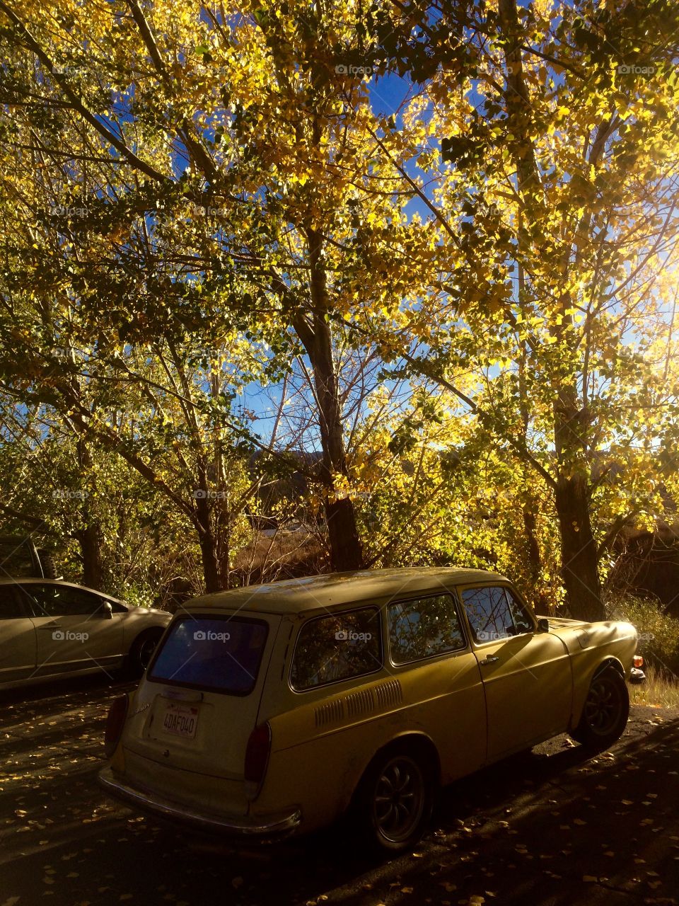 Yellow car, yellow leaves 