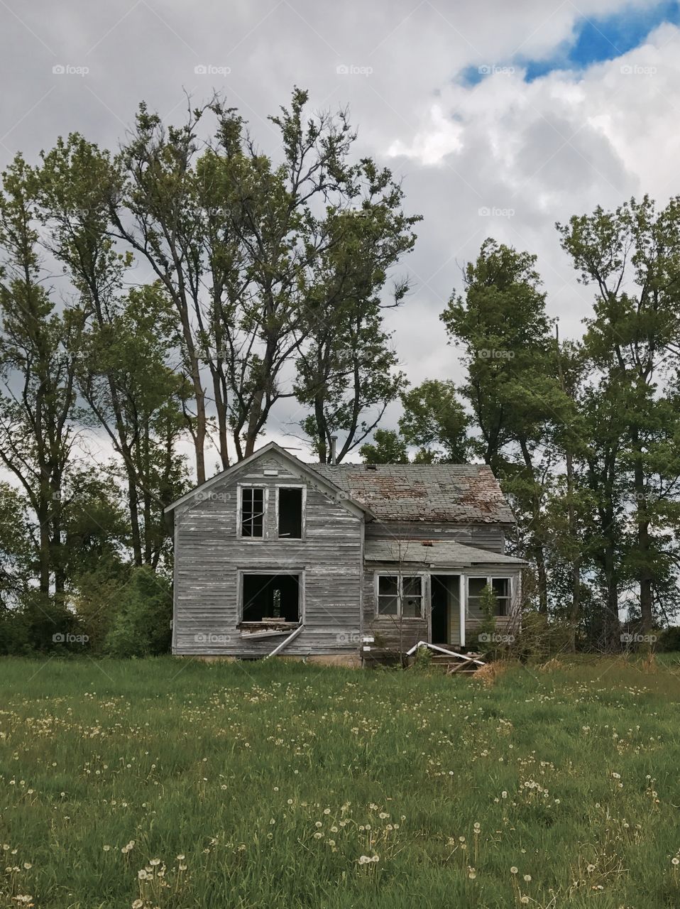 Forgotten farmhouse 