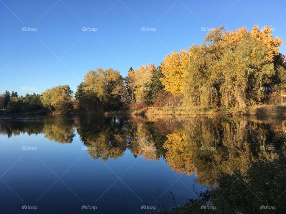 Fall reflection 