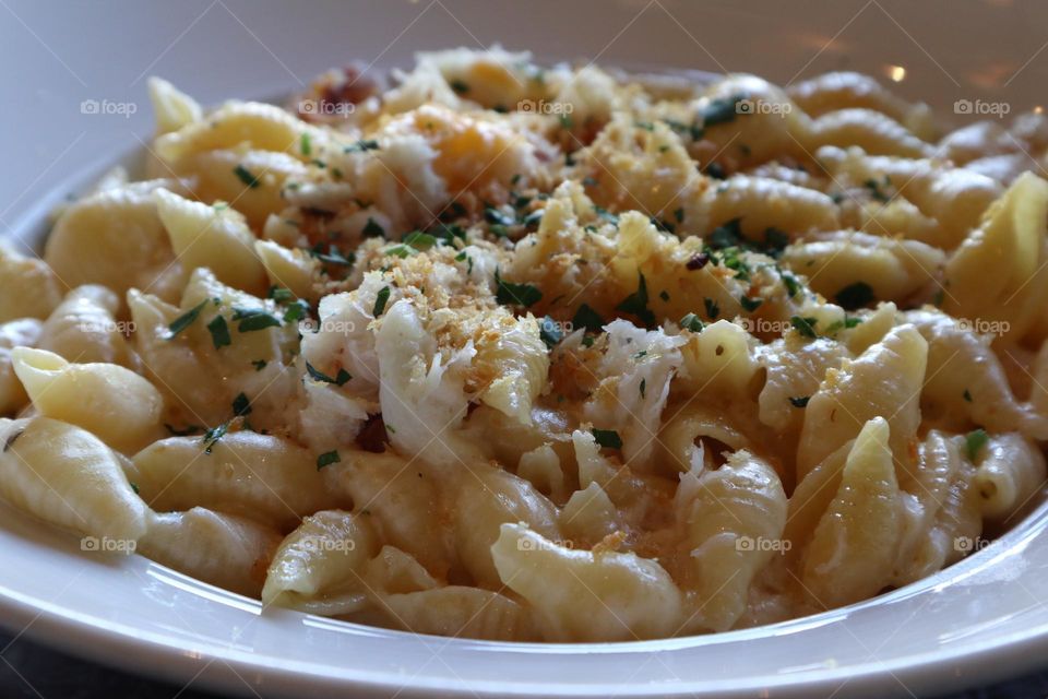 Amazingly delicious Dungeness crab macaroni and cheese dinner, silky and creamy delight 