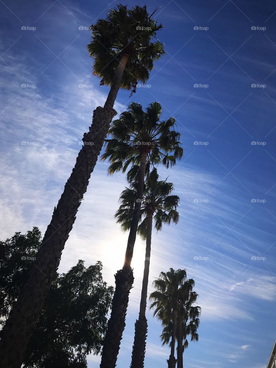 Cape Town Water Front