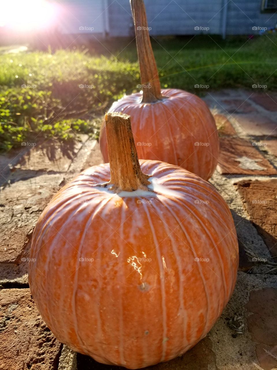 Pumkin with glow in the dark paint