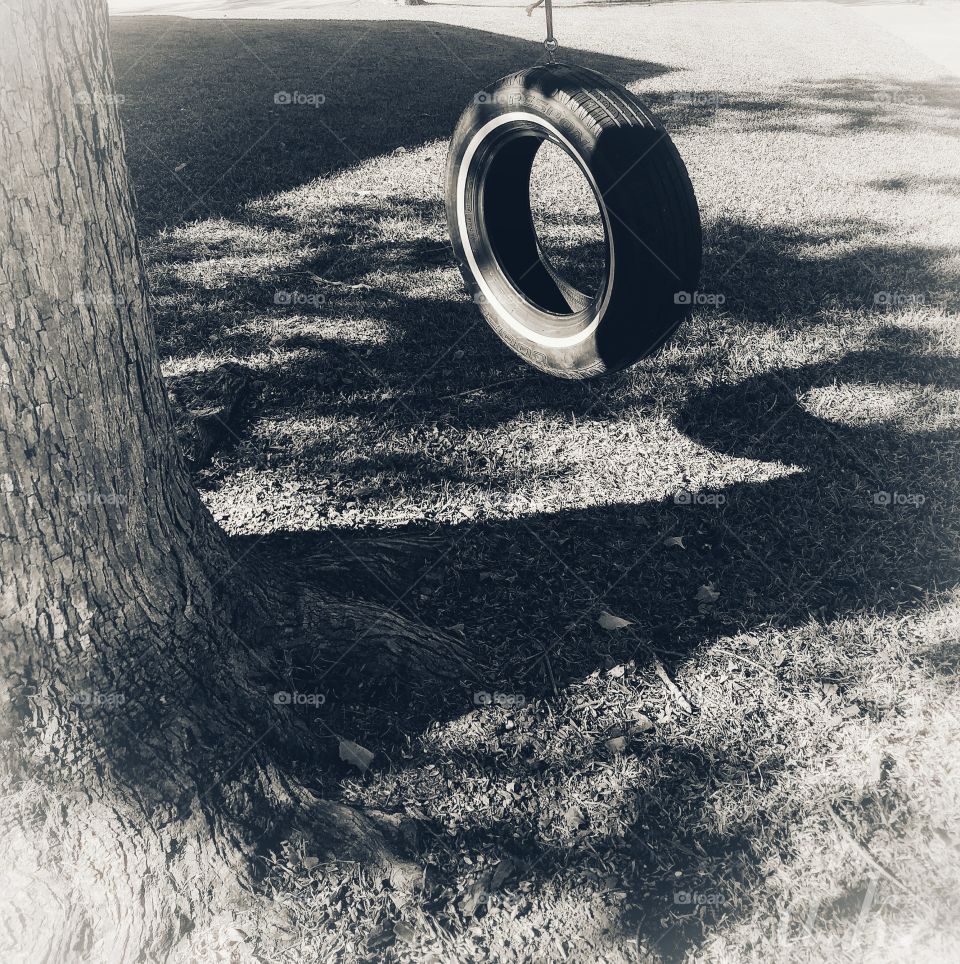 Tire Swing