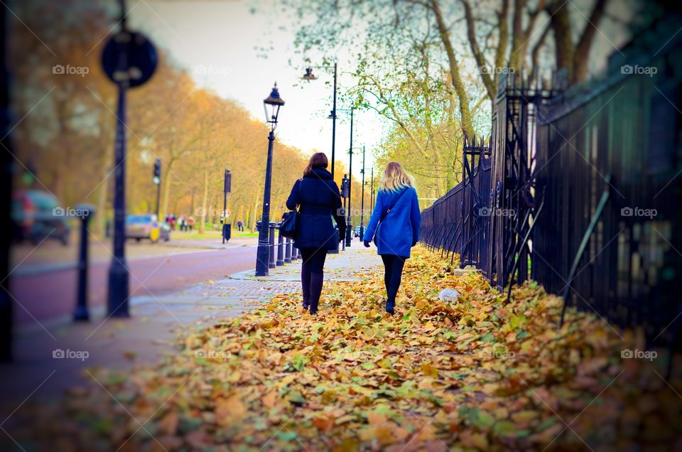 Real people on the walk as autumn leaves line the street.