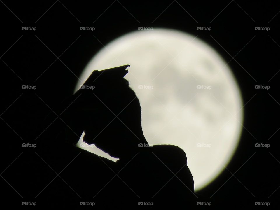 My brother with the moon behind him