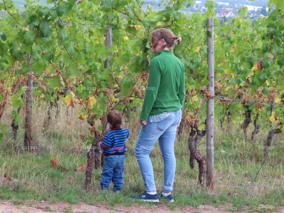 mother and son in the vineyard