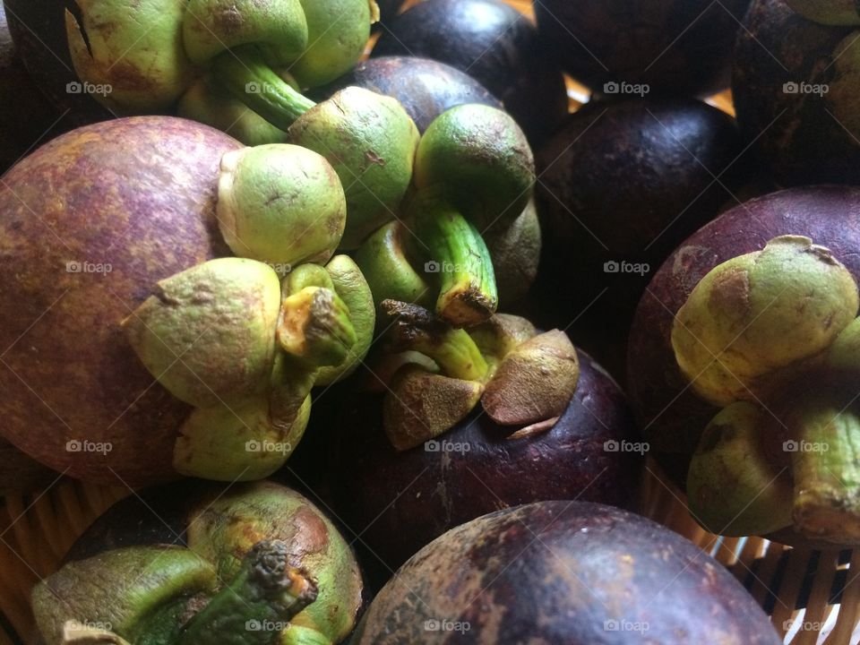 Mangosteen 
