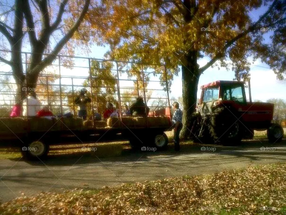 Hay ride