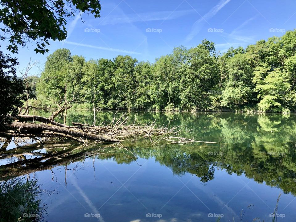 Meadow landscape in summer