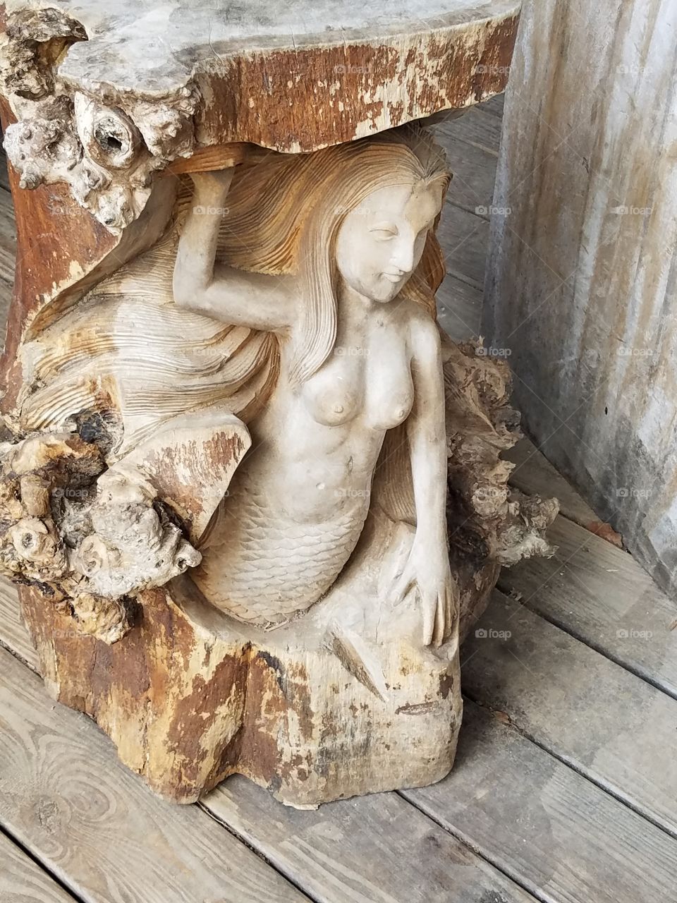 Sherwood Forest Faire pic set