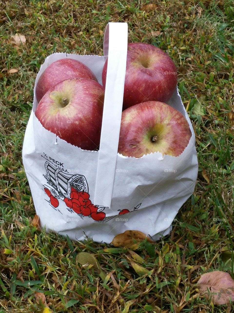 Virginia Apple's. Stayman apple's from Ferrum, VA