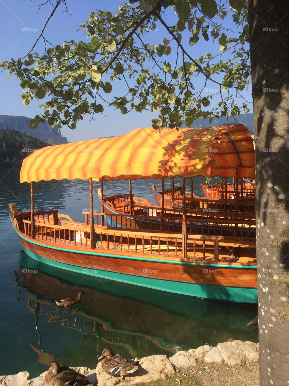 Pletna boats on Lake Bled, Slovenia 