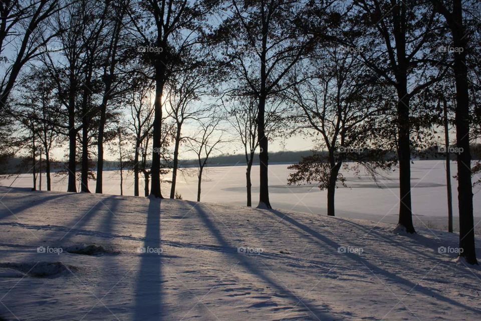 Winter Scene by the Frozen Lake