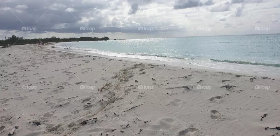 beach