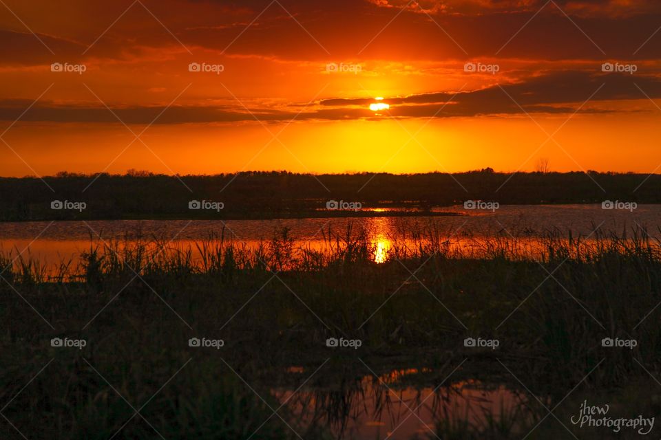 Lake Apopka Sunset