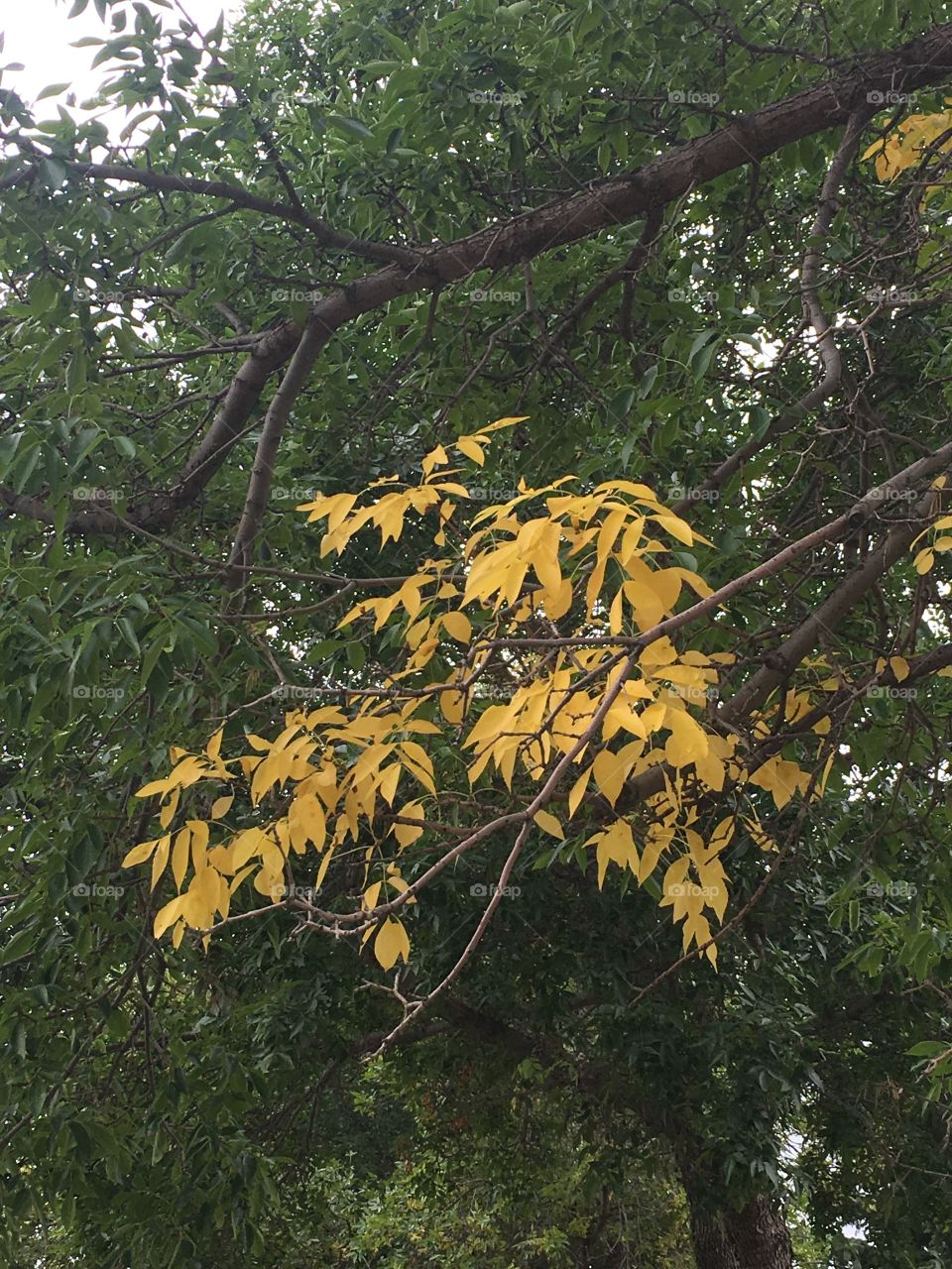 Summer turns to fall