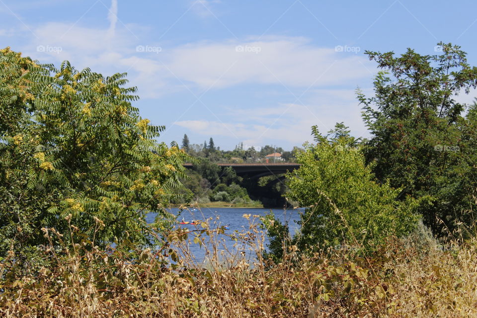 Endless summer Hiking Trail View