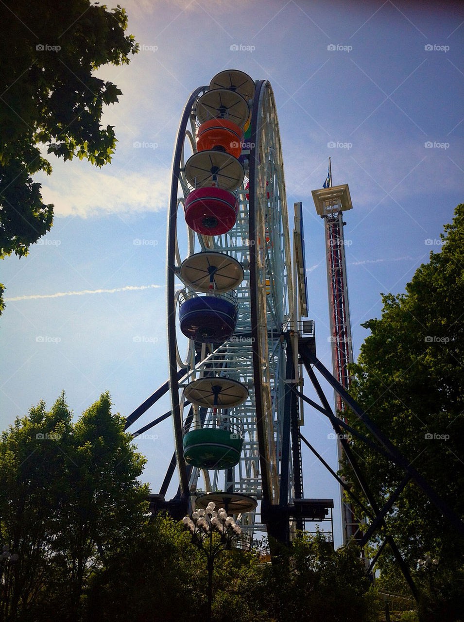 sky ferris wheel tree by asa