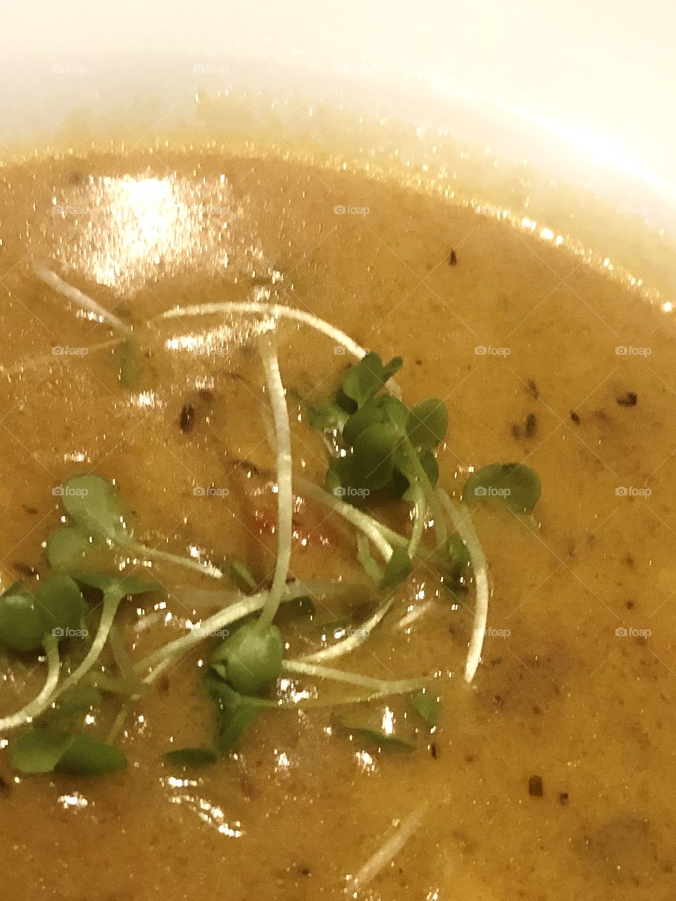 Bacon Corn Chowder Soup