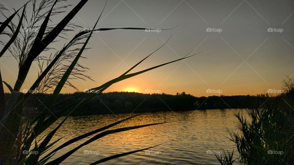 Sunset, Landscape, Water, Nature, Dawn
