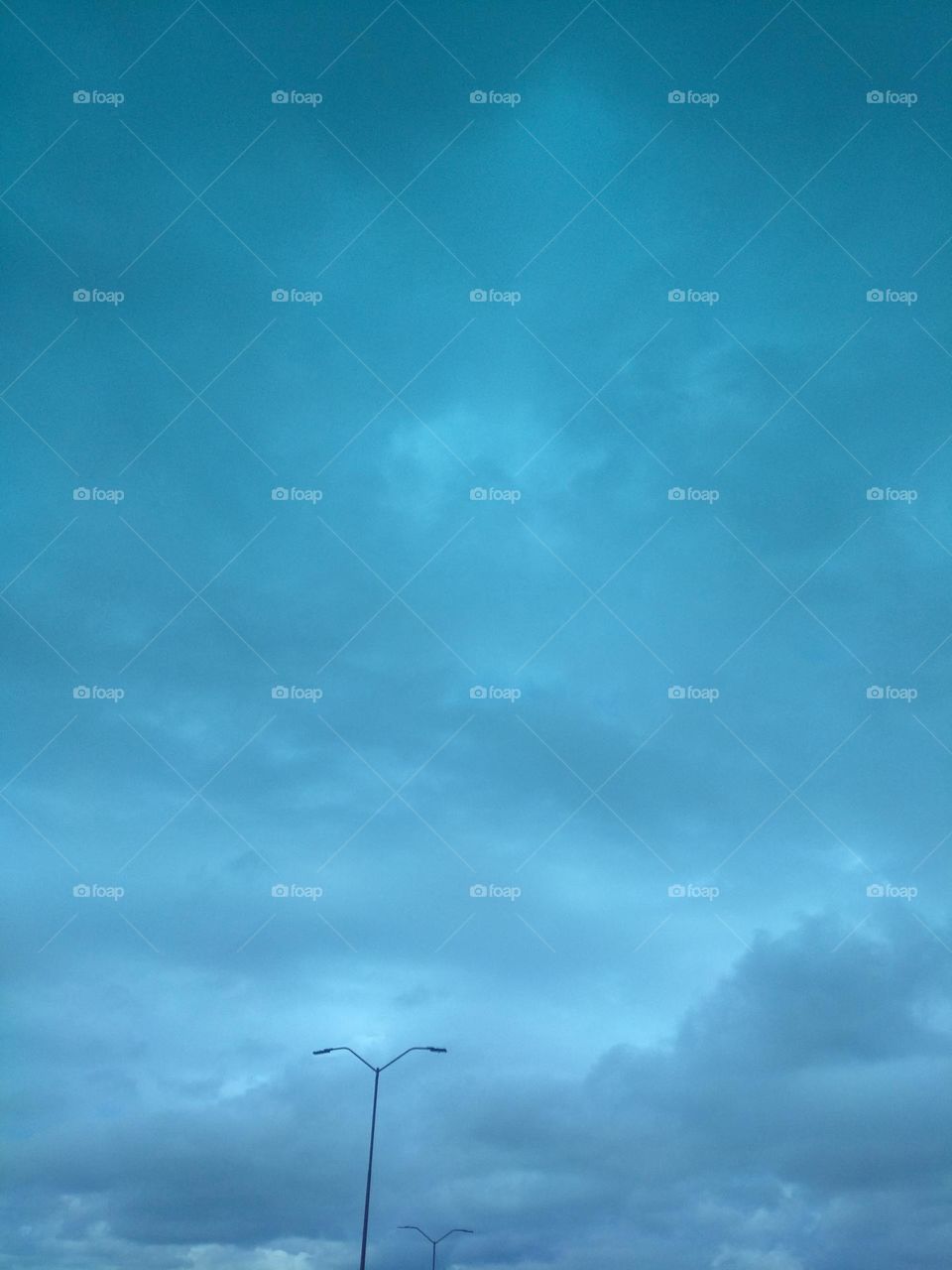 Winter is now in my country, Alexandria, one of the best days of the year