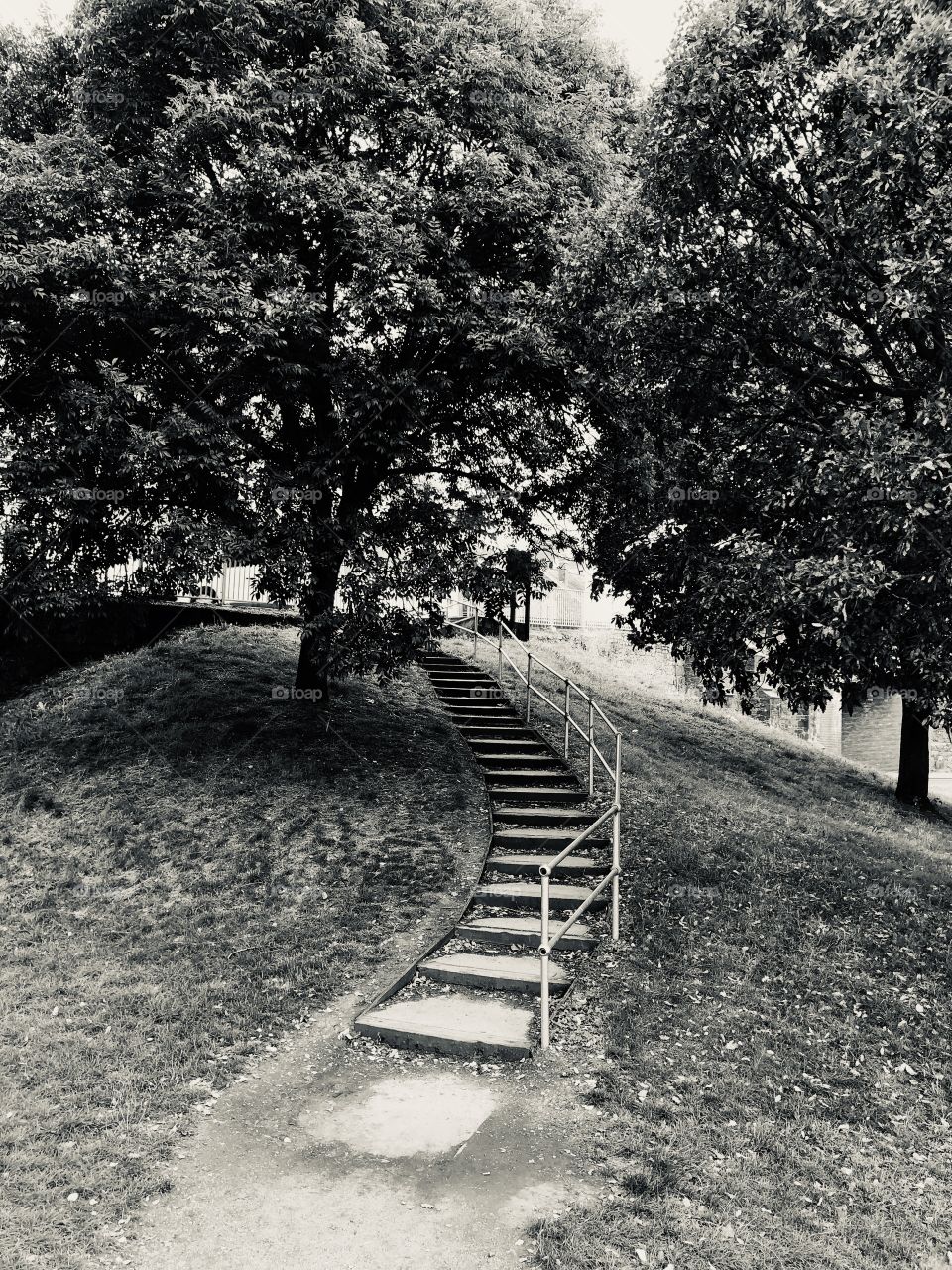 A black and white version of these lovely steps, which lead up to the bottom of Fore St in Exeter.