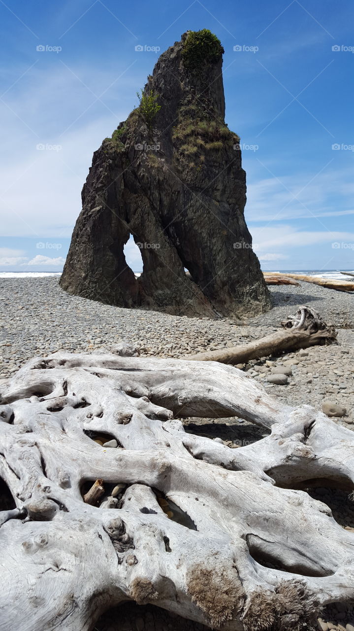 ruby beach rock