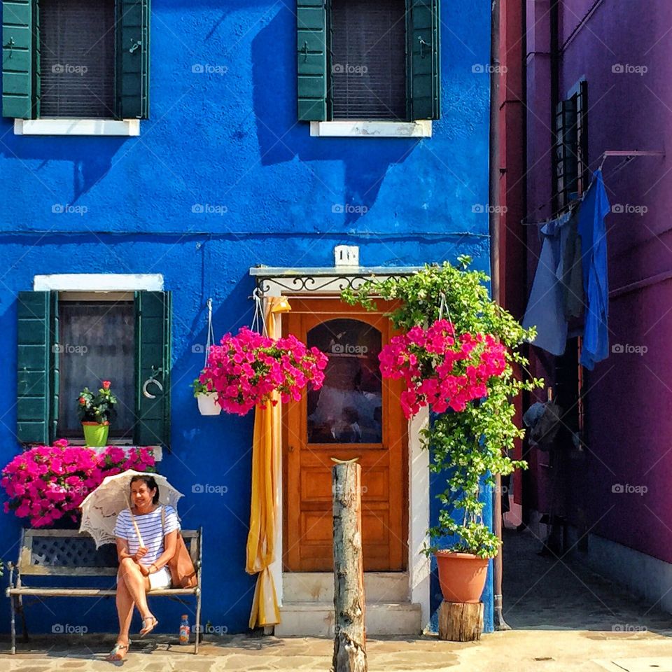 Flowers and Windows 