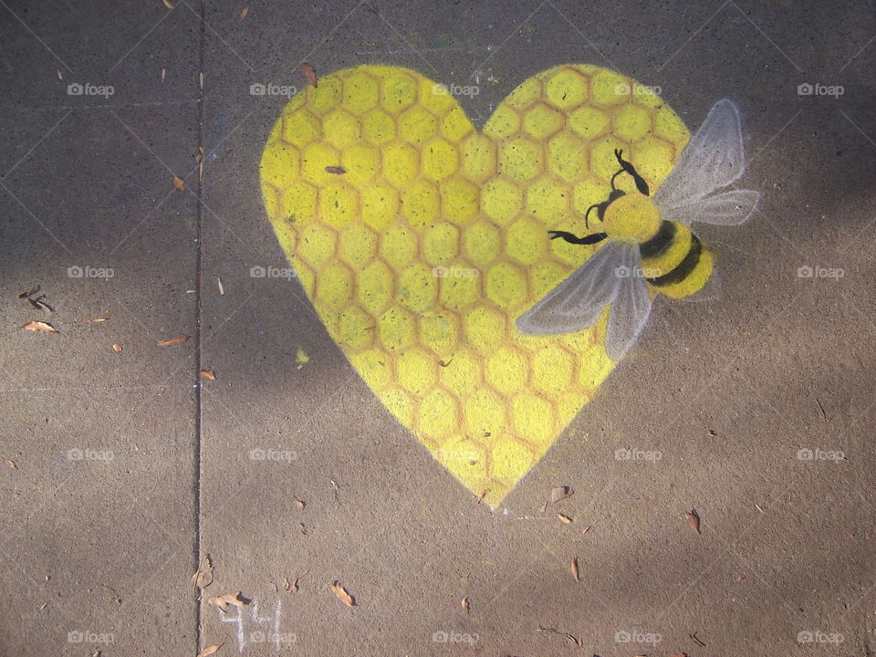 Desktop, No Person, Color, Nature, Texture