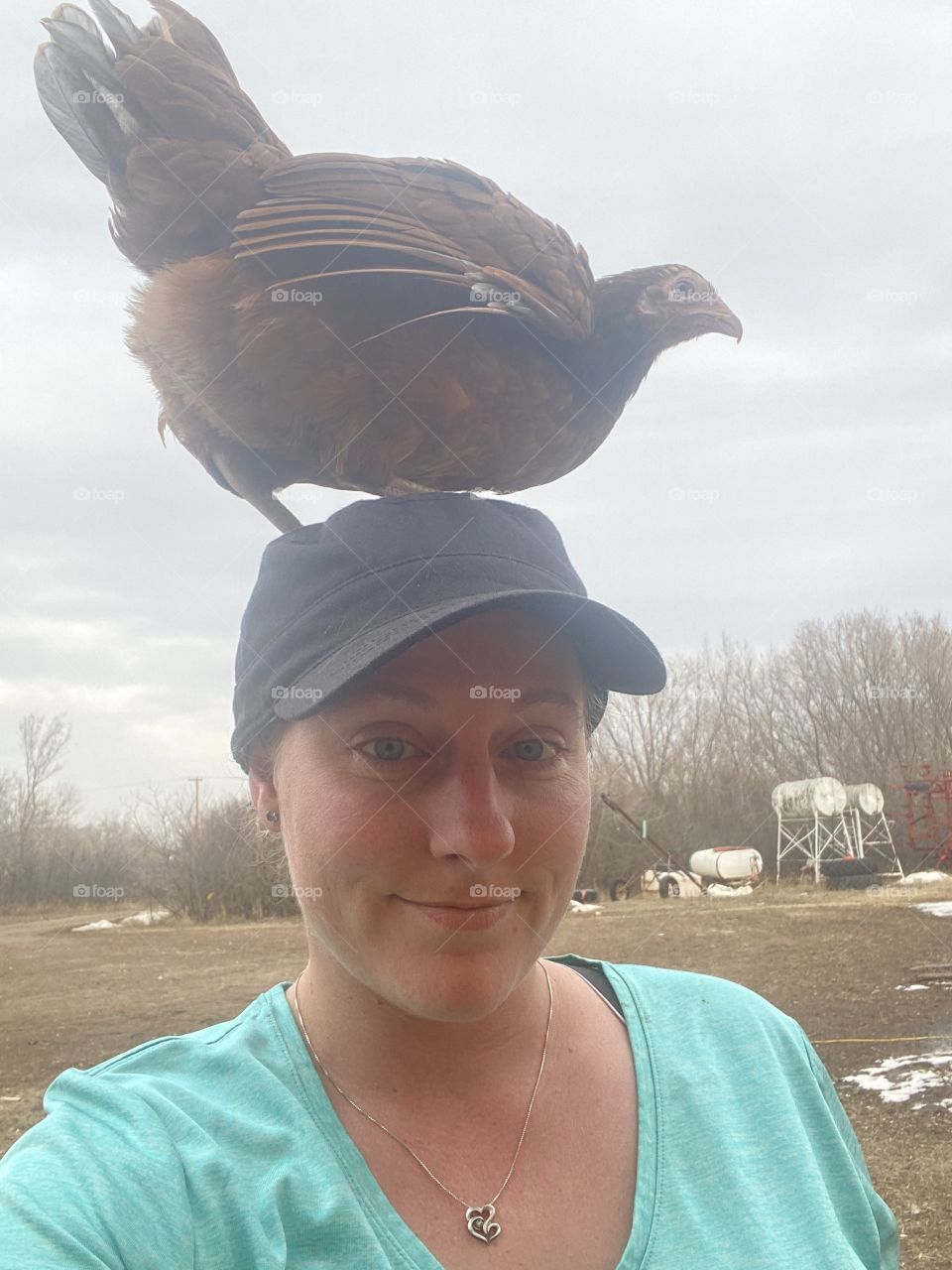 A head is a great place to roost 