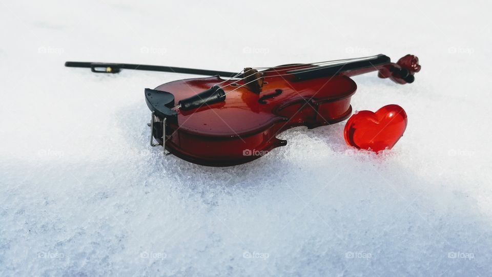 #violin#stringed instruments#musical#no person#