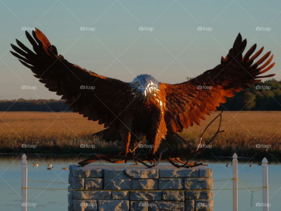 Montezuma Eagle Statue